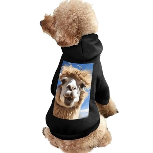 Hundepullover, warme Hunde- und Katzenkleidung, Winter-Hundemantel mit Kapuze, weiche Haustierkleidung, XS-2XL, lustiges Alpaka-Llama-Hundejacke für kleine, mittelgroße Hunde und Katzen von FZQVSGW