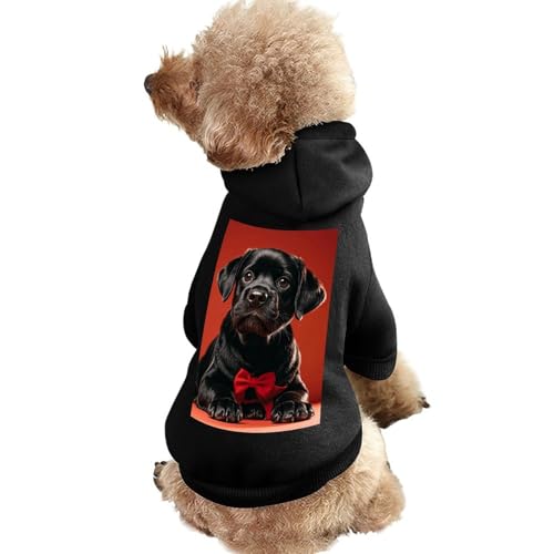 Warmer Hundepullover für Hunde und Katzen, Winter-Hundemantel mit Kapuze, weiche Haustierkleidung, Größe XS-XXL, für kaltes Wetter, niedlich, schwarz, Mops, Hundejacke für kleine, mittelgroße Hunde von FZQVSGW