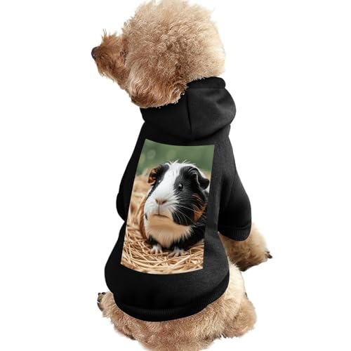 Warmer Hundepullover für Hunde und Katzen, Winter-Hundemantel mit Kapuze, weiche Haustierkleidung, Größe XS-XXL, für kaltes Wetter, niedliche Meerschweinchen-Hundejacke für kleine, mittelgroße Hunde von FZQVSGW