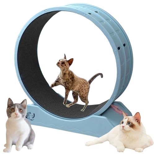 FZSERUN Laufband FüR Katzen, Laufrad FüR Katzen, Katzenlaufrad Mit GroßEm Durchmesser, Fitness/Gewichtsverlust/Sport üBungsrad FüR Wohnungskatzen, Mit Teppichboden,Blau,80 * 35 * 85cm von FZSERUN