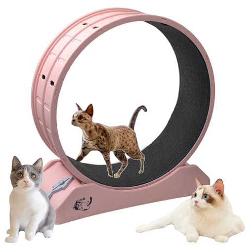 FZSERUN Laufband FüR Katzen, Laufrad FüR Katzen, Katzenlaufrad Mit GroßEm Durchmesser, Fitness/Gewichtsverlust/Sport üBungsrad FüR Wohnungskatzen, Mit Teppichboden,Rosa,80 * 35 * 85cm von FZSERUN