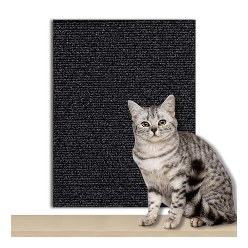 200cmX40cm Selbstklebend Kratzmatte Katze, Kratzschutz Sofa Katze, DIY Kratzbretter Katze kratzwand für Katzen Möbel Kratzteppich Couch-Schutz (Schwarz, 200 * 40cm) von FaAmour