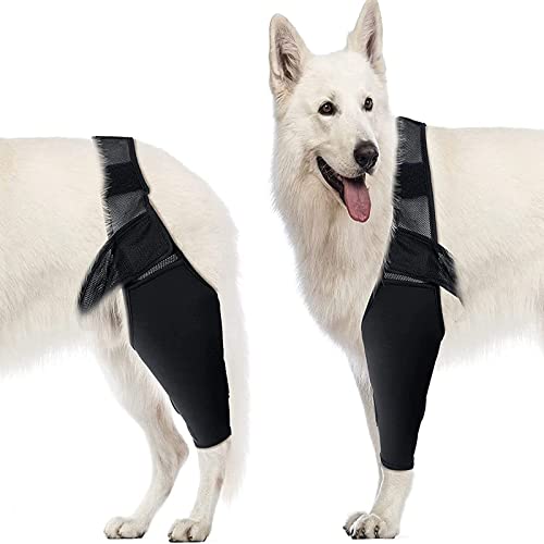 Fabater Ellenbogenschutz für Hunde, Ellenbogenbandage für Hunde, Ellenbogen- und Schulterstütze für Hunde, Kniebandage für Hunde bei Dysplasie, Arthritis, Dekubitus, Schulterluxation (L) von Fabater