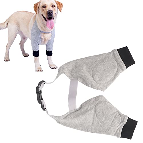 Fabater Hunde-Erholungsanzug, Hunde-Ellenbogenschutz, Verstellbare Riemen, Hunde-Schulterstütze, Gelenkerwärmende, Atmungsaktive Hunde-Vorderbeinmanschette für Hunde, Welpen (XL) von Fabater