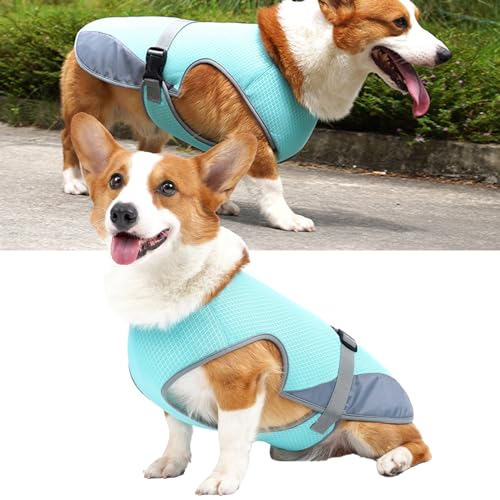 Haustier-Kühlweste, Verstellbare, Hautfreundliche, Hellblaue Hunde-Kühljacke aus Polyester, Elastisch, Leicht zu Reinigen für den Täglichen Gebrauch Im Freien (XL) von Fabater