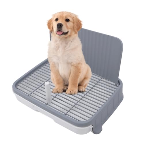 Hundetöpfchenschale, Haustier Pee Mesh Töpfchen mit Spritzwand, Innenhund -Training -Toilettenschale, Hundedrüsenschachtel, Tragbarer Pee -Pad -Halter für Kleine Mittelgroße Hunde von Fabater