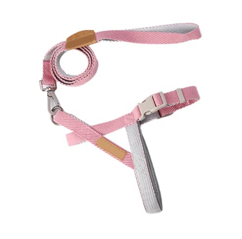 Hundezugseil, Leichte Hundetrainingsleine, Polyester, Multifunktionale Sicherheitsgarantie für Camping für Spaziergänge mit Hunden (1,5 cm) von Fabater