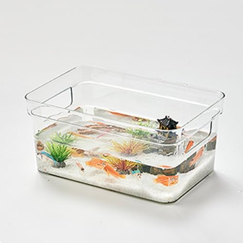 Transparente Desktop-Aquarium-Dekoration, DIY-Aquarium, Eleganter Look für das Wohnzimmer (Kleine Größe: 7,9 x 11,8 Zoll) von Fabater