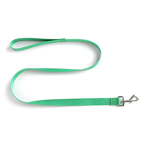 Welpenleine, Strapazierfähige 9,8 Fuß Nylon-Hundetrainingsleine, Multifunktional für Outdoor-Camping (Green) von Fabater