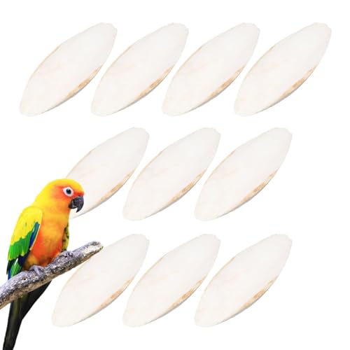 Fabixoin 10 Stück Groß Sepiaschalen, Vol-Cuttlebone Für Sittiche Natürlicher, Volfutter Cuttlebones, Sepiaschalen Für Schildkröten Natürliche Kuschelknoche Spielzeug Papaien-Beißspielzeug von Fabixoin