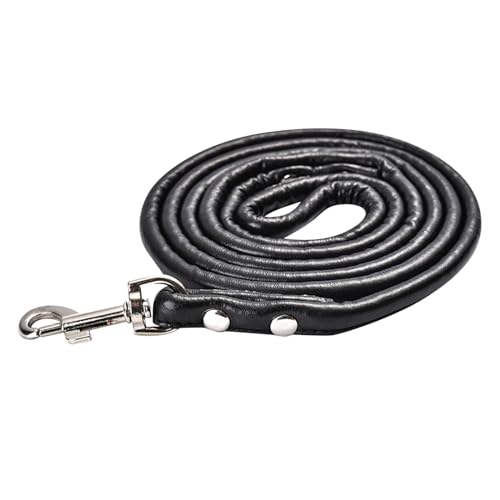 Factorys Pet PU-Kordelzug für Haustiere, Autogeschirr, Hundeleine, einziehbare, gepolsterte, elastische, reflektierende Leine, Hundeleine Lederleinen Für Hunde (Black, L) von Factorys