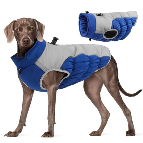 Winter Warme Hundejacke Winddicht Hundemantel für Mittelgroße Hunde Wasserdicht Wintermantel Reflektierender Rollkragenpullover Hundejacke Ärmellose Haustier Kostüm Outdoor von Factorys