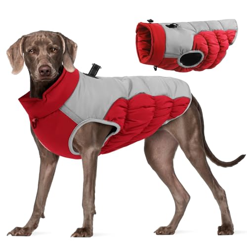 Winter Warme Hundejacke Winddicht Hundemantel für Mittelgroße Hunde Wasserdicht Wintermantel Reflektierender Rollkragenpullover Hundejacke Ärmellose Haustier Kostüm Outdoor von Factorys