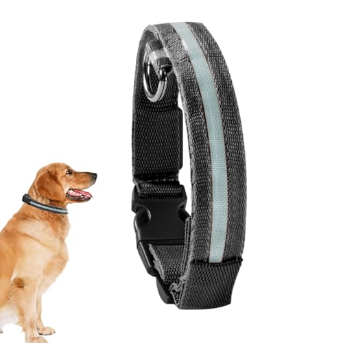 Leuchthalsband, Blinkendes Leuchthalsband für Hunde, Wiederaufladbares, blinkendes LED-Sicherheitshalsband für mittelgroße und kleine Haustiere und Hunde von Facynde
