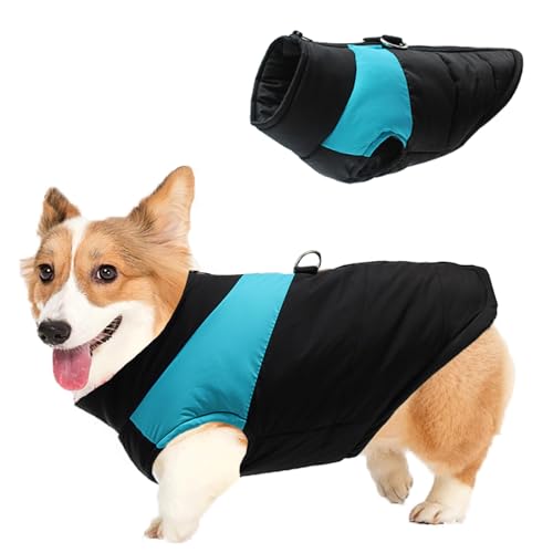 Hunde-Wintermantel, warme Hundemäntel, Hundejacke, wasserdichte Haustier-Winterkleidung, Hundekleidung, Fleece-Winter-Hundemantel, Weste für kleine und mittelgroße Hunde, kaltes Wetter (Größe M, Blau) von Fadcaer