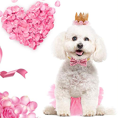 Fashion Party Supplies Tutu Rock Pink Geschenk für kleine Hunde Katze Haustier Geburtstag Party Kleid Krone Hut Kragen Katze Hund Geburtstag Set (Pink) von Faderr