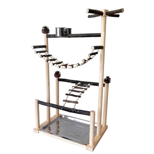 Fahoujs Schraube Fester Vogel Training Fitnessstudio Natürliche Holzstruktur Abnehmbare Basis Für Papageien Fahoujs Schraube Fester Vogel Training Fitnessstudio Natürliche Holzstruktur Abnehmbare Basis Für Papageien von Fahoujs