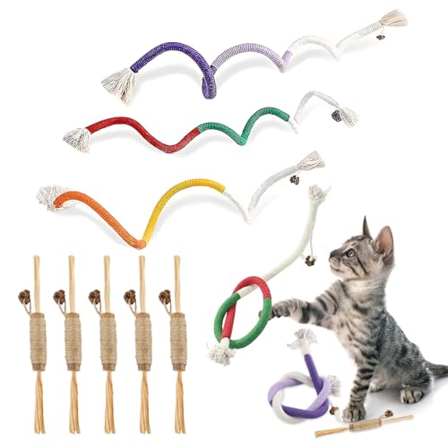 FainFun 8 Stück Katzenminze-Spielzeug, Enthalten 3 Katzenminze Spielzeug Beißseil und 5 Katzenminze Sticks, Interaktives Katzenspielzeug, Kauspielzeug Katze für Katzen Zahnpflege & Gegen Mundgeruch von FainFun