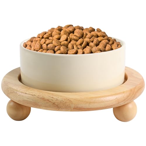 Fairsh Keramik-Katzennapf, Erhöhte Keramik-Katzenfutter- und Wassernapf für Indoor-Katzen, Schwere Keramik-Katzennapf mit Holzständer, 13 cm, Beige von Fairsh