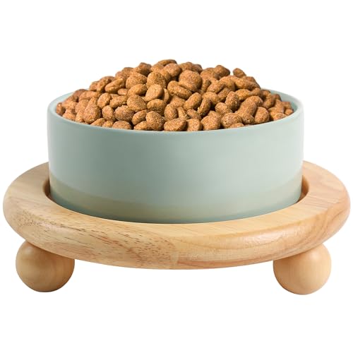 Fairsh Keramik-Katzennapf, Erhöhte Keramik-Katzenfutter- und Wassernapf für Indoor-Katzen, Schwere Keramik-Katzennapf mit Holzständer, 13 cm, Hellgrün von Fairsh