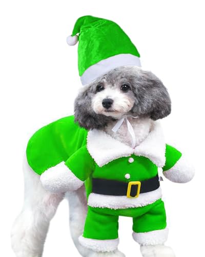 Hunde-Elfenkostüm für kleine Hunde, Weihnachten, Welpen, Hoodies (Grün, Größe M) von Fairy Sassy