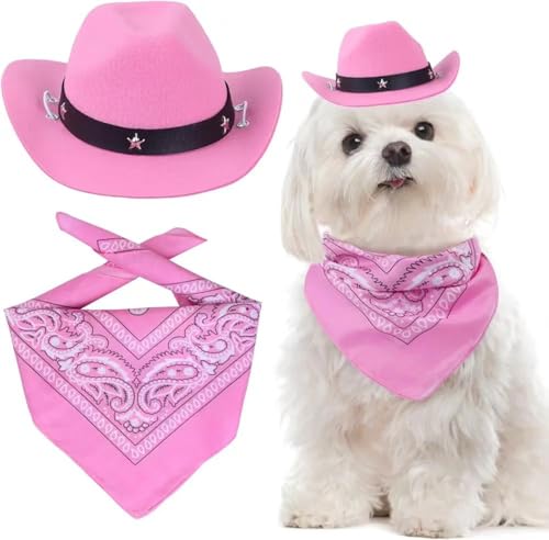 Hunde-Halloween-Cowgirl-Kostüm, Cowgirl-Hut, Halloween-Hunde-Halstuch, Schal für kleine, mittelgroße und große Hunde, Haustiere (Einheitsgröße) von Fairy Sassy