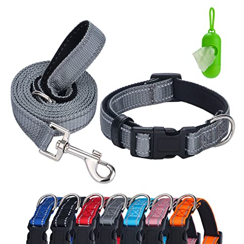 Faleela Reflektierendes Hundehalsband und Leine, Set mit Kotbeuteln und Spender, verstellbares Nylon-Hundehalsband für kleine, mittelgroße und große Hunde, atmungsaktiv (klein, grau) von Faleela