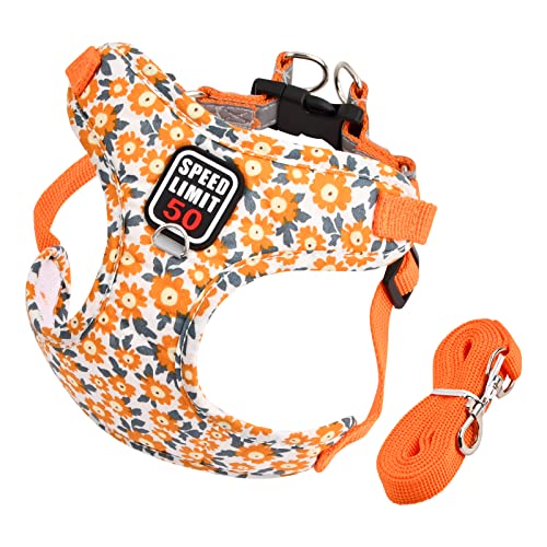 Hundegeschirr mit Leine, Air-Mesh Atmungsaktiv Brustgeschirr, Katzengeschirre Reflektierend, Weich Gepolstert Hunde Geschirr, Verstellbare Welpengeschirr für Kleine Mittel Haustiere (Orange) von Fangehong