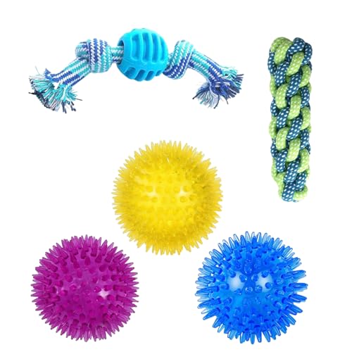 Fanney Playful Paws Kauspielzeug-Set für Hunde, 5 Stück, Stachelbälle und Seilspielzeug, widerstandsfähiges Gummi-Hundespielzeug mit weichen Massagebällen, langlebiges und leicht zu reinigendes von Fanney