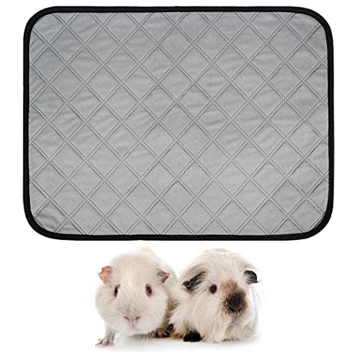 Fanspack Kleintier-Pad: 2 Stück einfache, Wiederverwendbare Meerschweinchen-Käfigeinlage für Hamster, Pinkelmatte von Fanspack