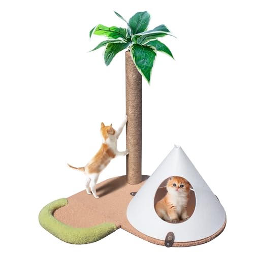 Fantasreen 76,2 cm Katzenkratzbaum Kätzchen Kratzbaum für Indoor Katzen Katzenzelt von Fantasreen