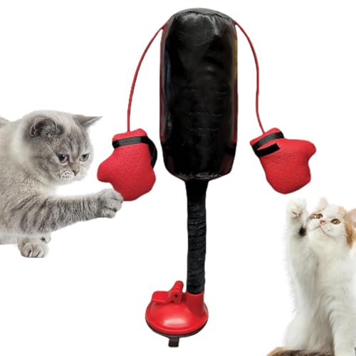 Boxsack für Katzen, Boxspielzeug für Katzen, Kätzchenspielzeug mit Handschuhen, Spielzeug gegen Langeweile, interaktives Trainingsspielzeug für Kätzchen, Katzenspielzeug für Bewegung und Langeweile von Fanysdsi