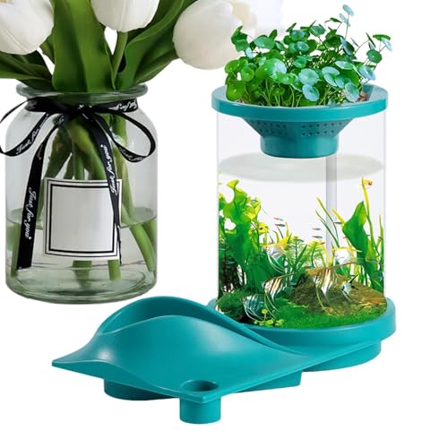 Fanysdsi Becken für Wassertiere,Kleines Betta-Aquarium - Selbstversorgendes, leises Fischglas mit Filtersystem | Selbsterhaltendes Aquarium mit Aquarium-Aquaponik-Ökosystem für Fischgeschäft, Zuhause, von Fanysdsi