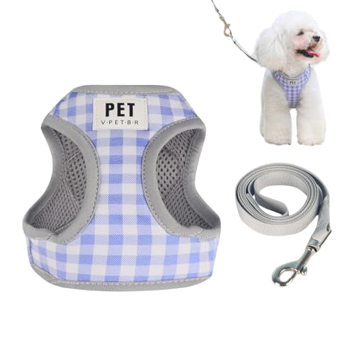 Fanysdsi Hundegeschirre und Leinen, Haustiergeschirr-Leinen-Set | Haustierleinen Hund mit Weste Geschirr Set,Hundeauslaufgerät aus Polyestergewebe, drehbares Schnallendesign, Netzdesign auf der von Fanysdsi