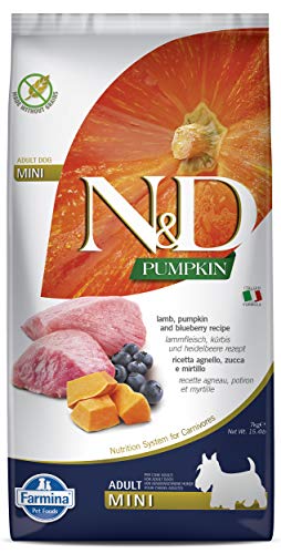 Farmina N&D Pumpkin Adult Mini Pellets Hundefutter (Trockenfutter, mit hochwertigen Vitaminen und natürliche Antioxidantien, ohne Mais, Zutaten: Lamm und Blaubeere, Portionsgröße: 7 kg) von Farmina N&D Pumpkin Grain Free