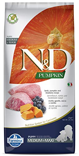 Farmina N&D Pumpkin Puppy Medium Pellets Hundefutter (Trockenfutter, mit hochwertigen Vitaminen und natürliche Antioxidantien, ohne Mais, Zutaten: Lamm und Blaubeere, Portionsgröße: 12 kg) von Farmina Natural & Delicious