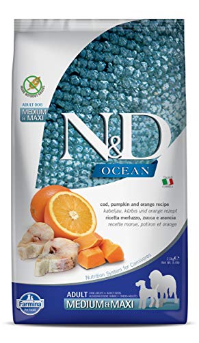 Farmina - NdGr.ainfree Kürbis - Fisch - Orange 2,5 kg - M/M von Farmina Pet Foods