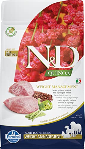 Farmina N&D Quinoa Adult Mini Pellets Hundefutter (Trockenfutter, mit hochwertigen Vitaminen und natürliche Antioxidantien, ohne Mais, Zutaten: Lamm und Brokkoli, Portionsgröße: 800 g) von Farmina