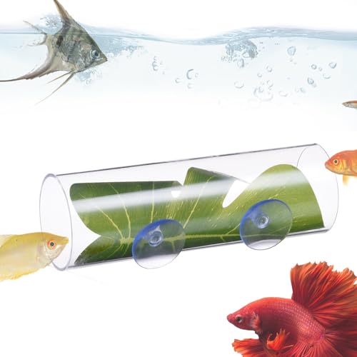 Fbinys Clear Acrylic Betta Fish Tube Tunnel, Acrylic Betta Fish Tube Tunnel for Small Fish and Shrimp, Clear Betta Hideaway Toy for Aquariums, Decorative Fish Shelter Tube for Betta and Shrimp Tanks von Fbinys