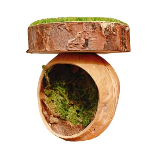 Jumping Spider Enclosure, Magnetic Hiding Habitats, Handmade Shelter Cage, Small Pet House, Ideal for Amphibian, Tarantulas, Mantis, Reptile Owners, Terrarium Use, 1.57x2.36 inches Jumping Spider Enclosure, Magnetic Hiding Habitats, Handmade Shelter Cage, Small Pet House, Ideal for Amphibian, Tarantulas, Mantis, Reptile Owners, Terrarium Use, 1.57x2.36 inches von Fbinys