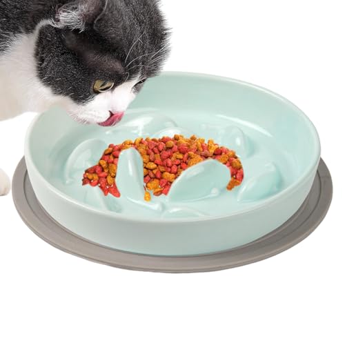 Katzenfutterschale Langsames Füttern, Langsames Füttern Katzennapf, Interaktive Katze Puzzle Schüssel, Slow Feeder für Katzen, Pet Slow Feeder Bowl, Slow Down Eating Bowl, Anti-Choke Katzennapf, von Fbinys