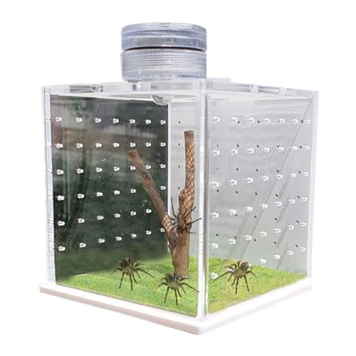 Lizard Cage, Frog Tank Cage, Clear Reptile Enclosure, Feeding Breeding Box, Reptile Tank with Light, Humidifier Reptile Cage, Small Reptile Habitat, Tree Dwelling Reptile Cage, Spider Tank Cage von Fbinys