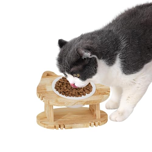 Raised Bowl for Kitten, 15-Degree Tilted Feeding Bowl, Removable Cat Bowls, Tilted Feeder Bowls, Ergonomic Kitten Bowl, Non-Slip Kitten Feeder, Cute Cat Food Bowl, Tilted Cat Water Bowl von Fbinys