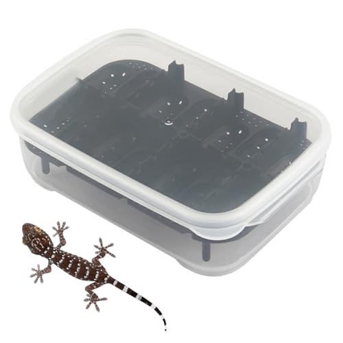 Schlangen-Terrarium, tragbares Gecko-Becken, transparente Zuchtbox, langlebiges belüftetes Design, einfache Überwachung des Zugangs, Reptilien-Lebensraum für Klettern, Transport, Zuhause, 18 x 13 x 5 Schlangen-Terrarium, tragbares Gecko-Becken, transparente Zuchtbox, langlebiges belüftetes Design, einfache Überwachung des Zugangs, Reptilien-Lebensraum für Klettern, Transport, Zuhause, 18 x 13 x 5 von Fbinys