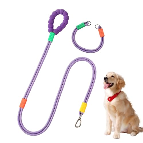 Seil Hundehalsband, Welpenhalsband und Seil Set, Hundehalsband Set, Verstellbares Haustierhalsband, Starkes Seil Hundehalsband, Niedliches Hundehalsband, Hunde Traktionsseil, Stilvolles Hundehalsband von Fbinys