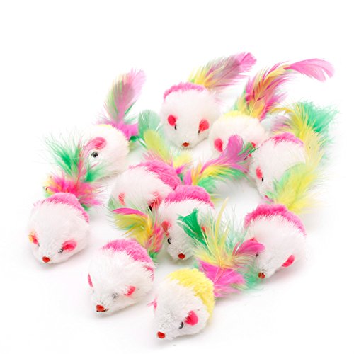 Fcnjsao 10PCS Nette Ratte Für Spielzeug Bunte Feder Tails Für Katze Teaser Spielzeug Haustier Für Katze Spielzeug Kätzchen Interaktive Kauen Spielzeug Fo von Fcnjsao