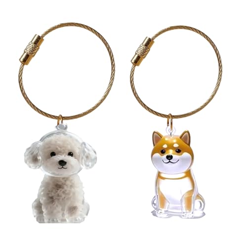 Fcnjsao Miniatur-Haustier-Fell-Andenken-Halter, Schlüsselanhänger, Haar-Aufbewahrungsbox, Anhänger, Tasche, Charm, Schlüsselanhänger für Hunde, Katzen und Kleintiere, transparente Aufbewahrungsbox für Fcnjsao Miniatur-Haustier-Fell-Andenken-Halter, Schlüsselanhänger, Haar-Aufbewahrungsbox, Anhänger, Tasche, Charm, Schlüsselanhänger für Hunde, Katzen und Kleintiere, transparente Aufbewahrungsbox für von Fcnjsao