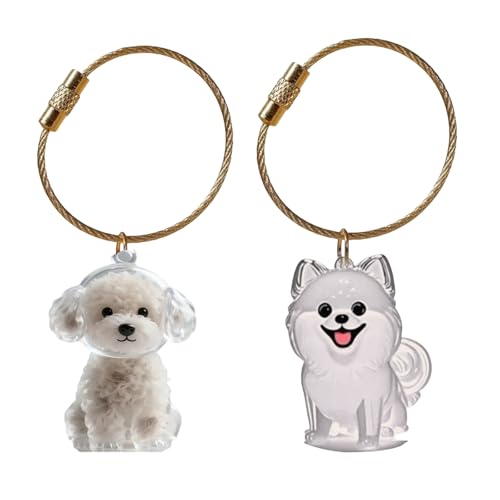 Fcnjsao Miniatur-Haustier-Fell-Andenken-Halter, Schlüsselanhänger, Haar-Aufbewahrungsbox, Anhänger, Tasche, Charm, Schlüsselanhänger für Hunde, Katzen und Kleintiere, transparente Aufbewahrungsbox für Fcnjsao Miniatur-Haustier-Fell-Andenken-Halter, Schlüsselanhänger, Haar-Aufbewahrungsbox, Anhänger, Tasche, Charm, Schlüsselanhänger für Hunde, Katzen und Kleintiere, transparente Aufbewahrungsbox für von Fcnjsao