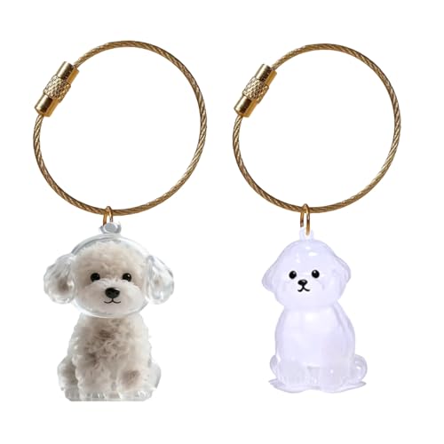 Fcnjsao Miniatur-Haustier-Fell-Andenken-Halter, Schlüsselanhänger, Haar-Aufbewahrungsbox, Anhänger, Tasche, Charm, Schlüsselanhänger für Hunde, Katzen und Kleintiere, transparente Aufbewahrungsbox für Fcnjsao Miniatur-Haustier-Fell-Andenken-Halter, Schlüsselanhänger, Haar-Aufbewahrungsbox, Anhänger, Tasche, Charm, Schlüsselanhänger für Hunde, Katzen und Kleintiere, transparente Aufbewahrungsbox für von Fcnjsao