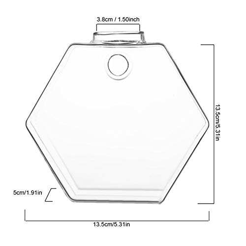 Hängende Glasvase Elegante Hydroponikdekoration für das Haus, Vase der Reinigung von Pflanzen für Büro oder Wohnzimmer (Typ 3) von Fdit